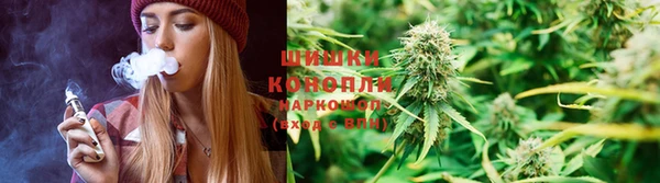 соль ск Алексеевка