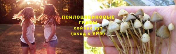 соль ск Алексеевка