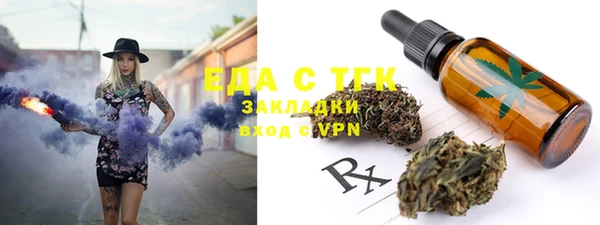 шишки Надым