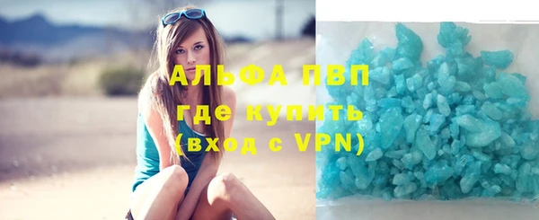 шишки Надым