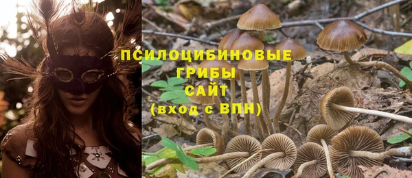прущие крисы Алзамай