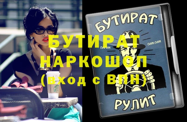 шишки Надым