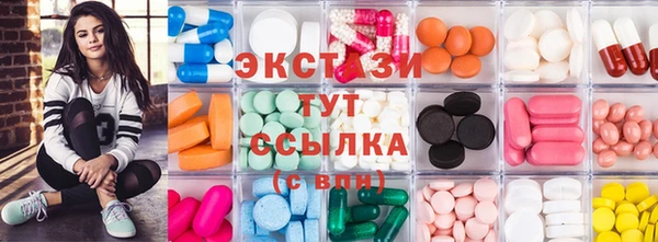 шишки Надым