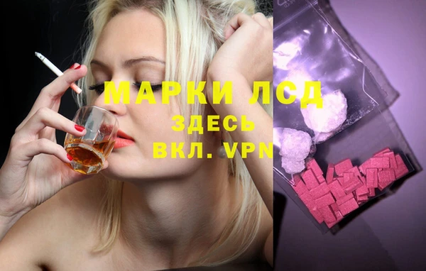 ГАЛЛЮЦИНОГЕННЫЕ ГРИБЫ Навашино