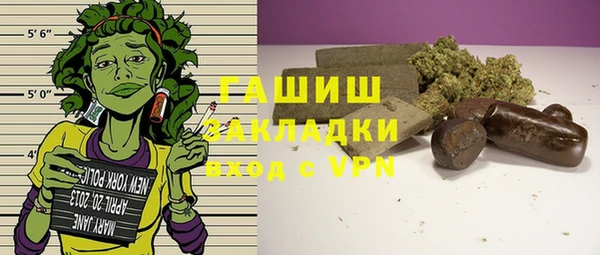 шишки Надым
