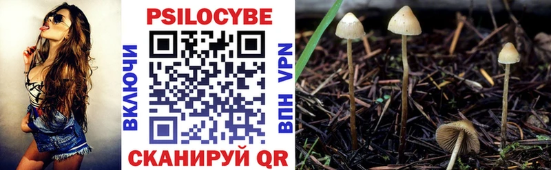 Псилоцибиновые грибы Cubensis  где купить наркоту  Каменск-Уральский 