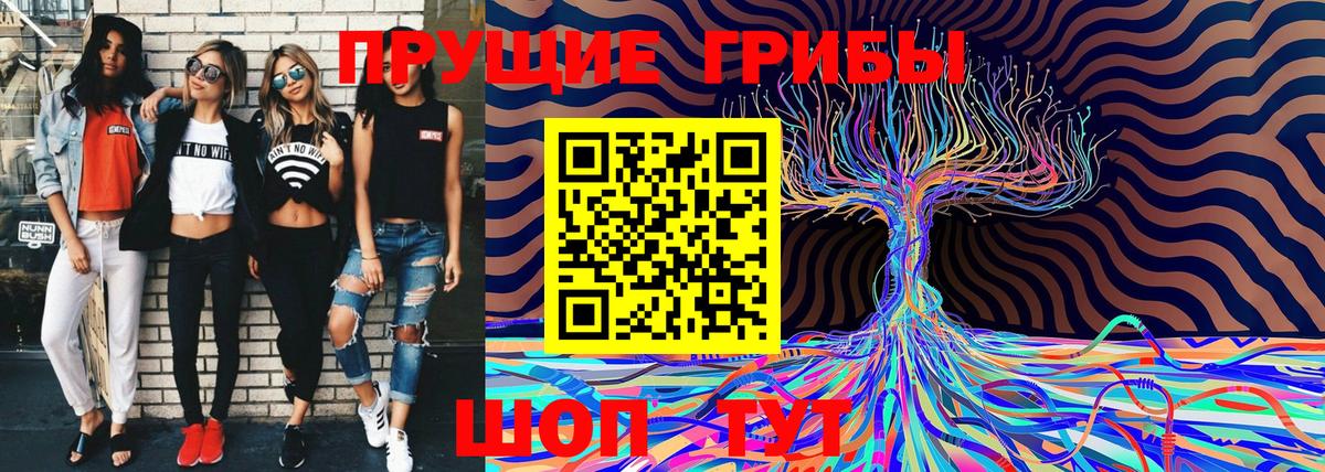 Каменск-Уральский  Псилоцибиновые грибы прущие грибы  Вход с VPN 