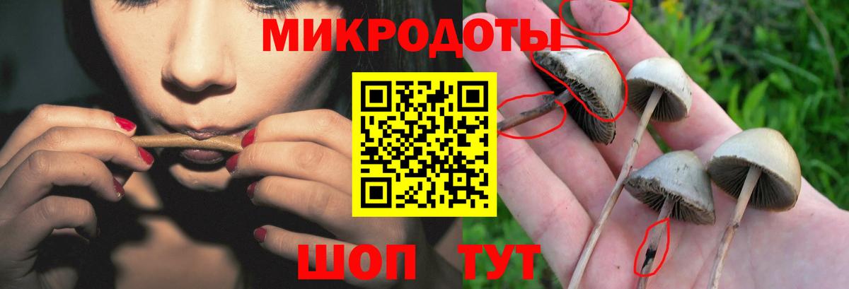 Псилоцибиновые грибы ЛСД Каменск-Уральский